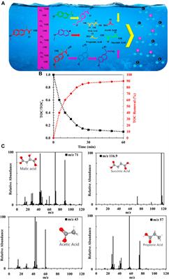 Yolk@Wrinkled-double shell smart nanoreactors: new platforms for mineralization of pharmaceutical wastewater